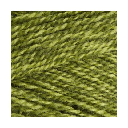 Stylecraft_special_dk_Greengage_1124